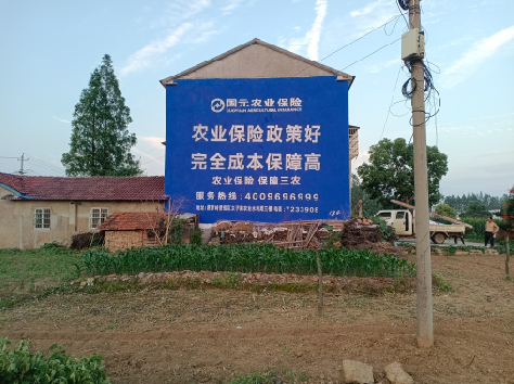 普洱墙体广告的优劣势你知道吗?